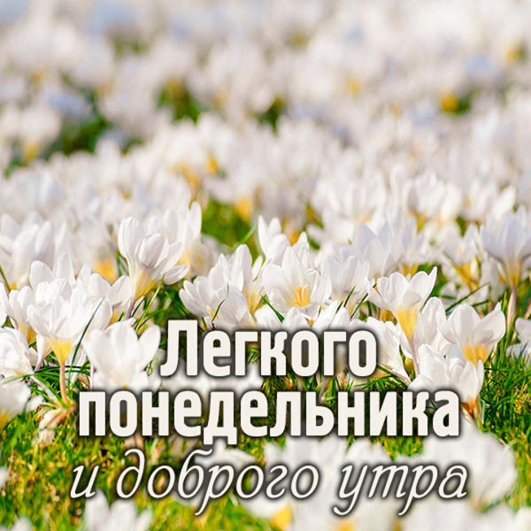 У РО доброе понедельник