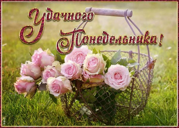 Открытки с добрым понедельником