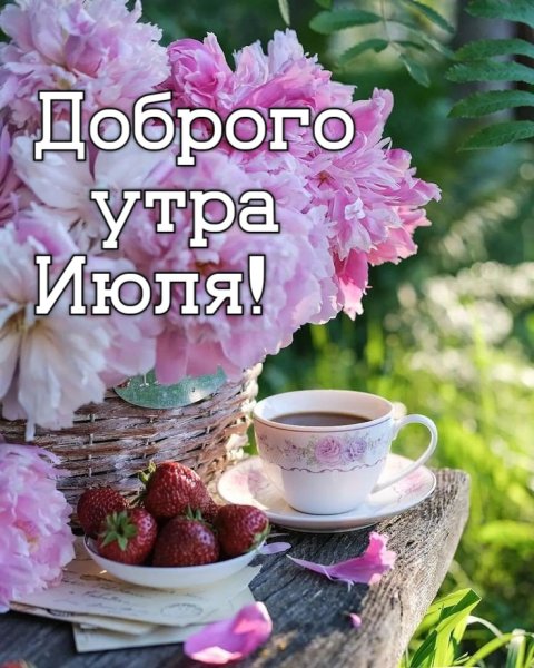 Хорошего настроения и удачного дня цветы