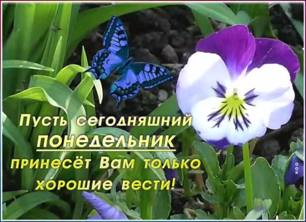 Стильные открытки с добрым утром