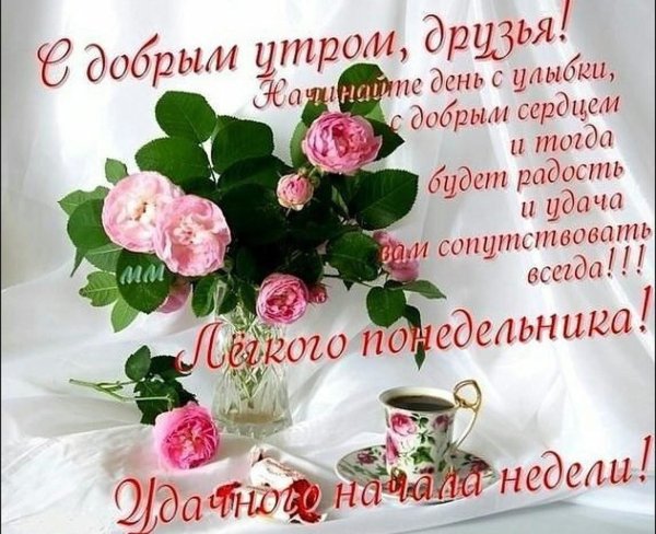 Открытки с добрым утром понедельника летние