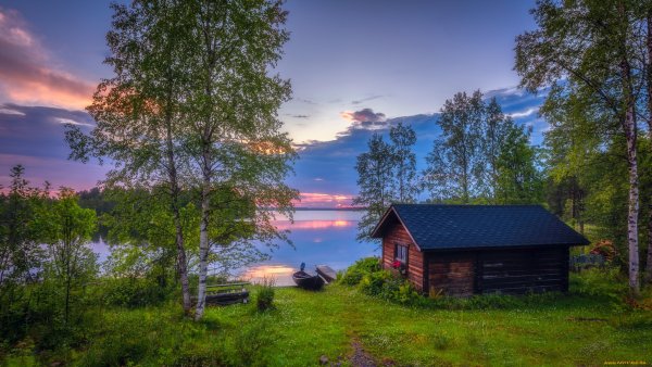 Река изгородь деревня лето