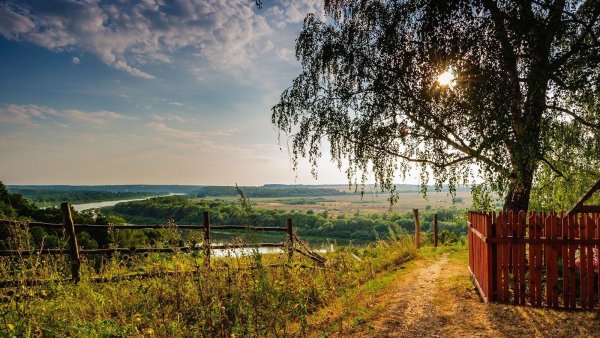 Лето река деревня