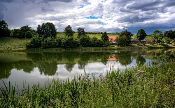 Деревенская природа
