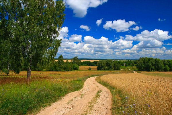 Утро на реке у деревни