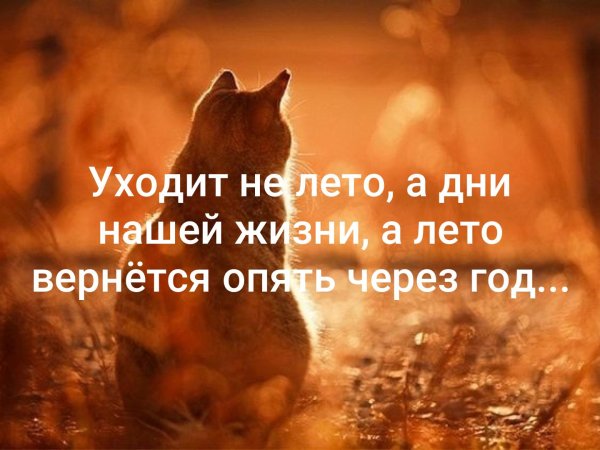 Уходит не лето а дни нашей жизни а лето вернётся опять через год