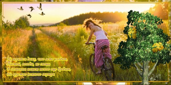 Стихи про уходящее лето