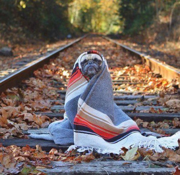 Осень холодно