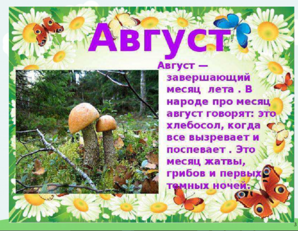 Стихи про летние месяцы
