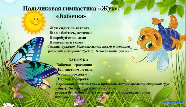 Палчик овая гимнаст насекомые