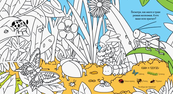 Задания Найди и раскрась