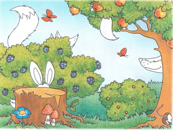 Лес задания для дошкольников