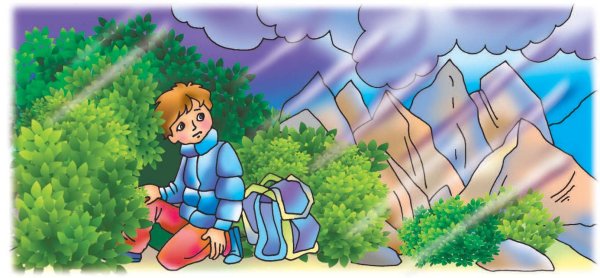 Опасности в лесу для детей