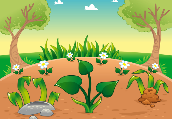 Полянка с насекомыми