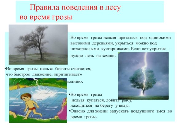 Слово дождь