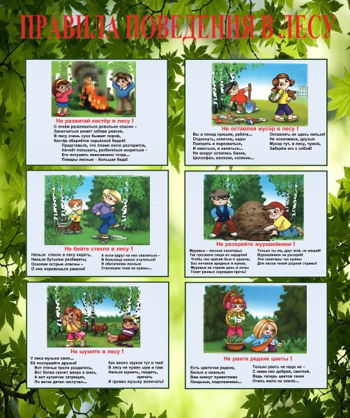 Правила безопасности в лесу летом для детей
