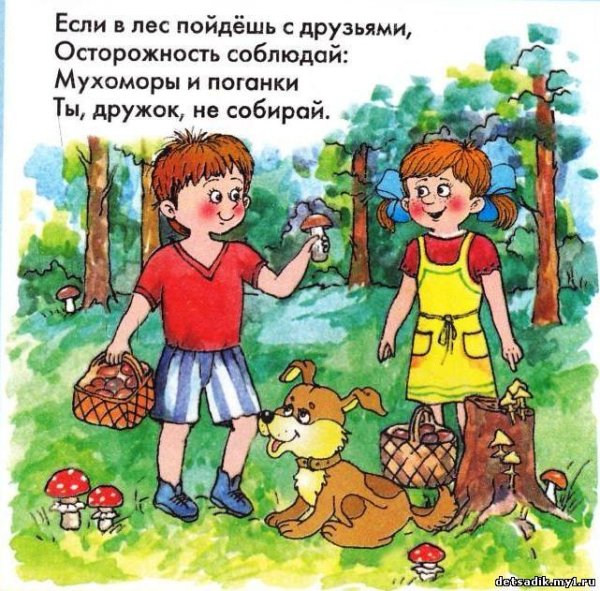 Опасности в лесу для детей дошкольников