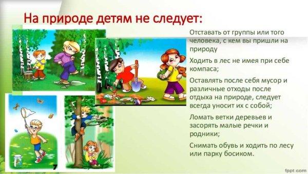 Безопасное поведение на природе