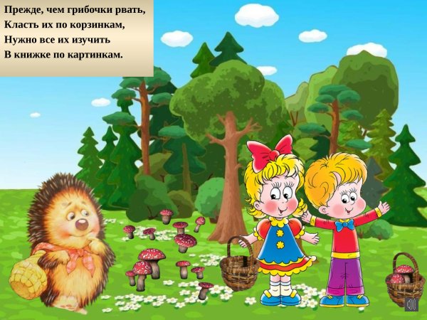 Безопасное поведение в лесу картинки для детей