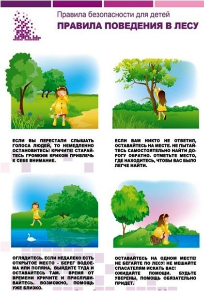 Правила безопасного поведения в лесу летом для детей