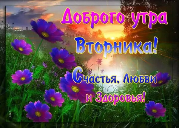 Пожелание доброго утра вторника
