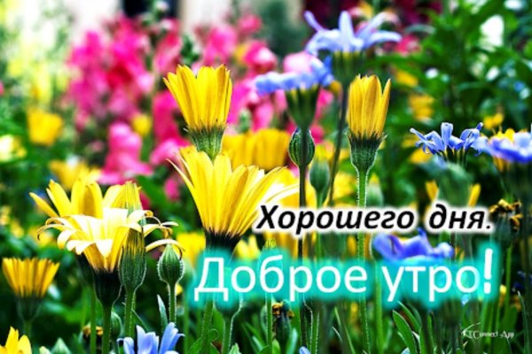 Хорошего дня хорошему человеку