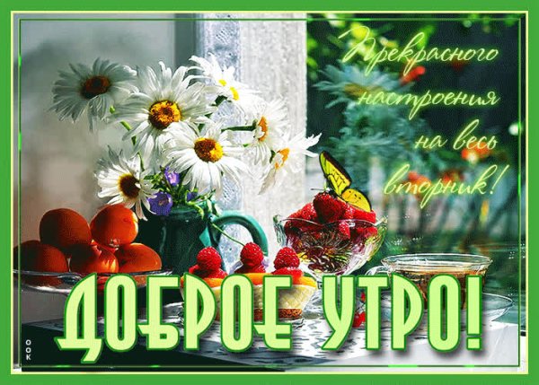 Поздравления с добрым утром вторника