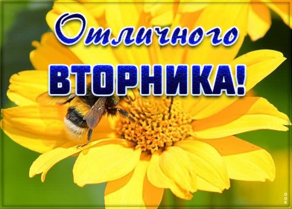 Отличного вторника