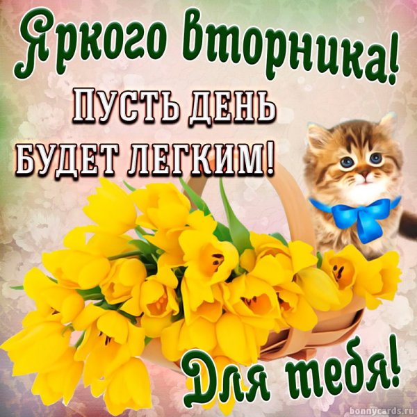 Открытки с добрым днём вторника