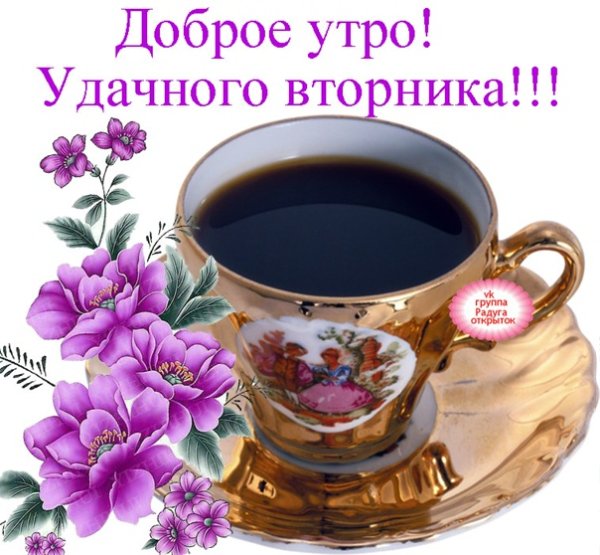 Открытки с добрым утром вторника