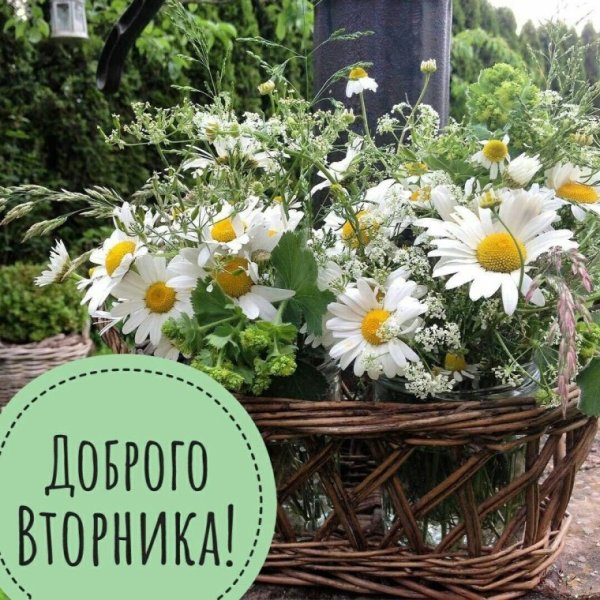 С добрым утром вторника