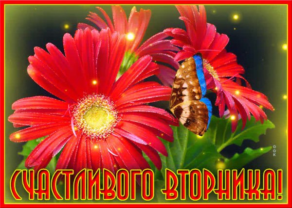 С добрым утром вторника