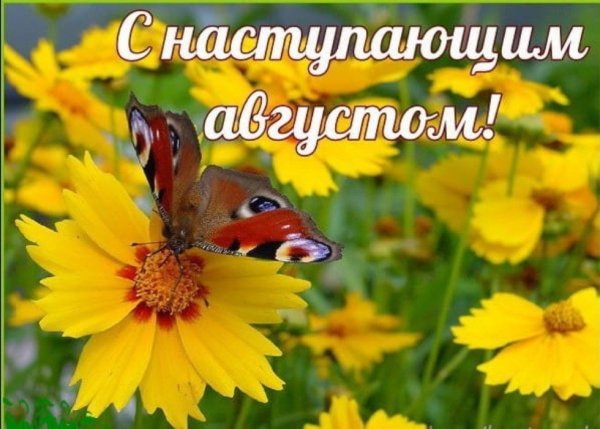 Доброе августовское утро вторника
