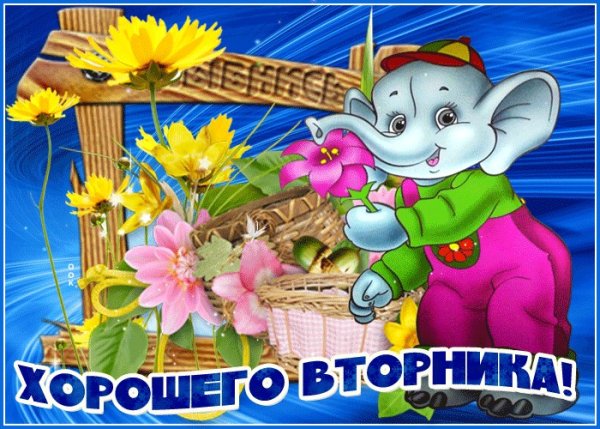 Доброе утро вторника