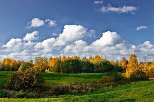 Прощай бабье лето