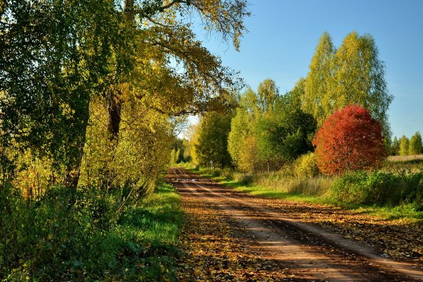 Сентябрь бабье лето
