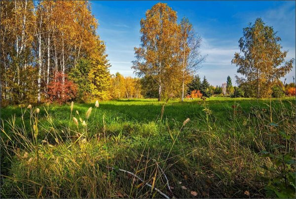 Сентябрь природа бабье лето