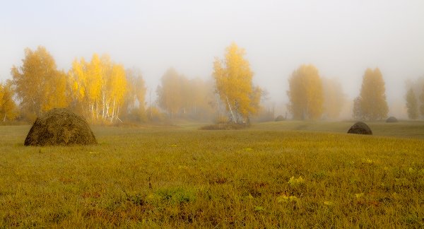 Золотая осень бабье лето