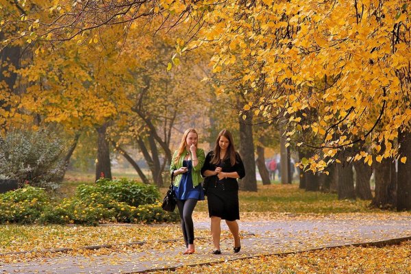 Бабье лето афоризмы