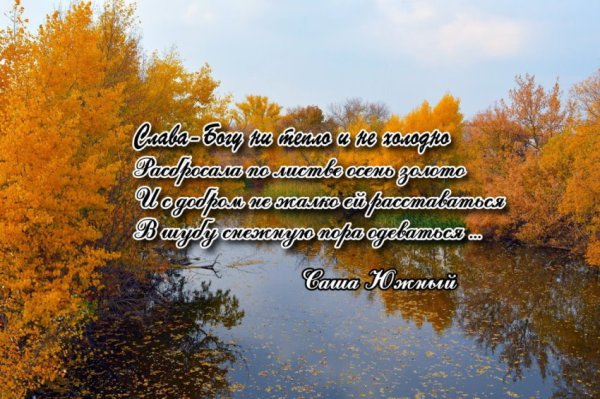 Осень паутина