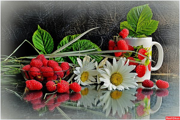 Пожелания с добрым летним утром