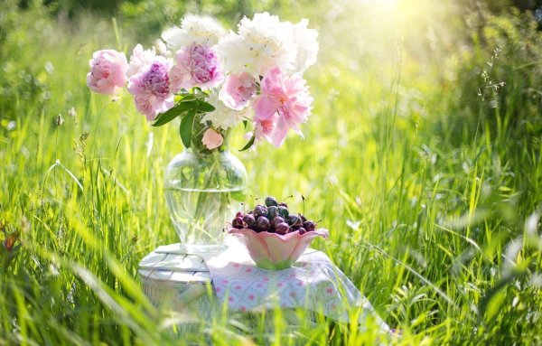 Доброго летнего дня