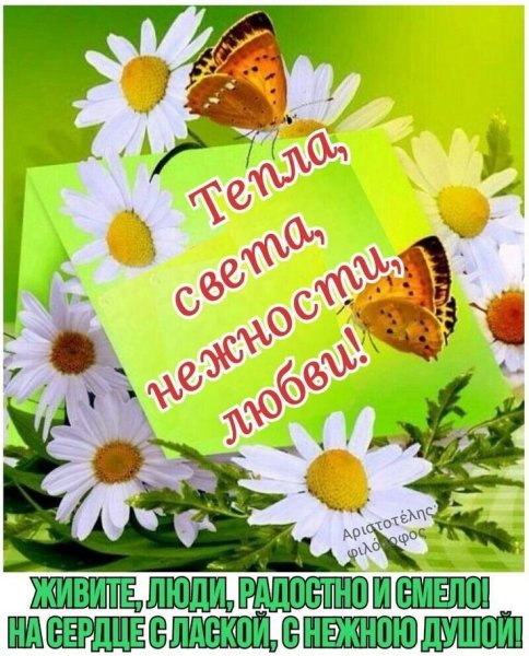 Открытки с добрым утром летние красивые