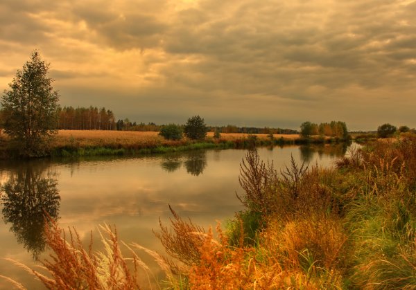 Пейзажи уходящего лета