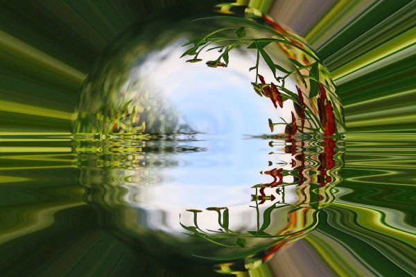 Короткое видео картинки уходящего лета