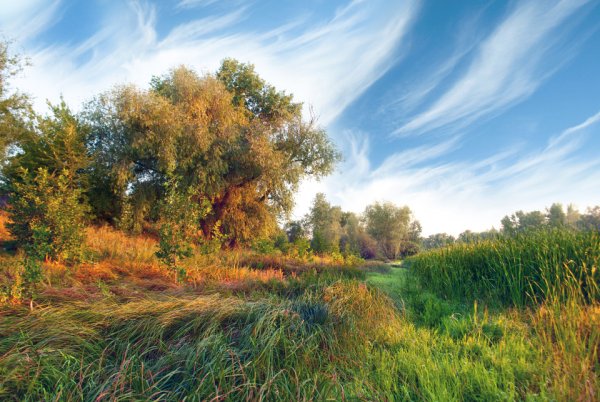 Яркие краски уходящего лета