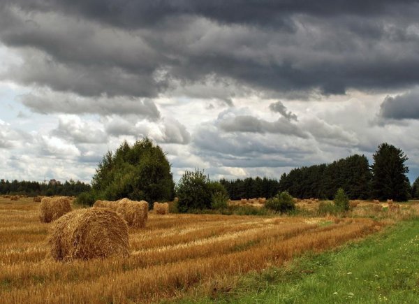 Уходящее лето