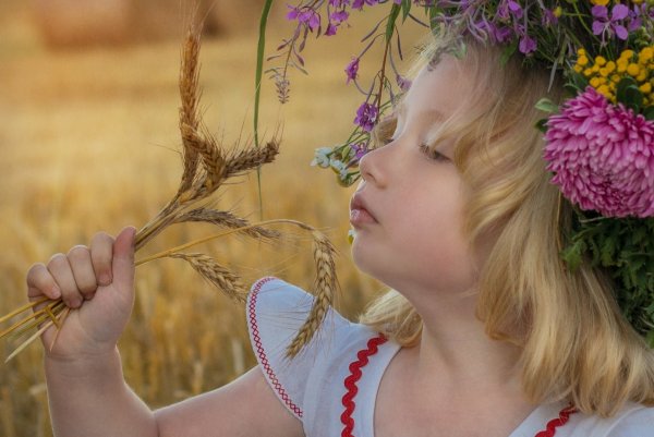 Уходит лето картинки красивые