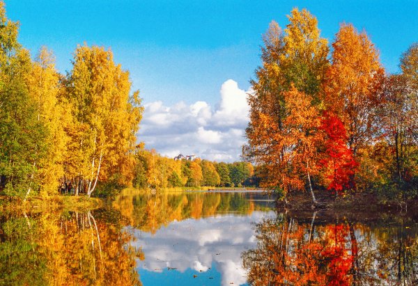 Осень бабье лето