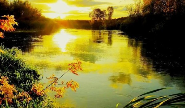 Красивая природа уходящего августа